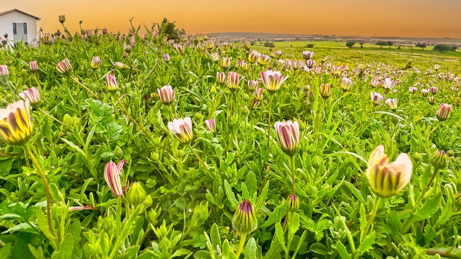  Bedroom Property for Sale in Langebaan Country Estate Western Cape